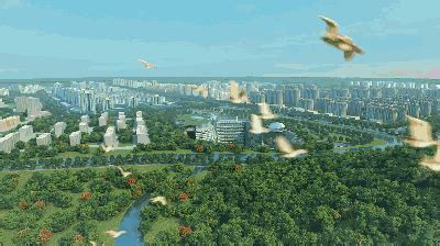 这里被誉为“河南最美丽的城市”，风景优美，是你的家乡吗？