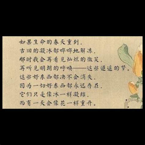 时间_诗歌作文500字(推荐10则)