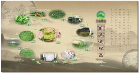 我学会了做茶叶-记事作文550字(汇总8篇)