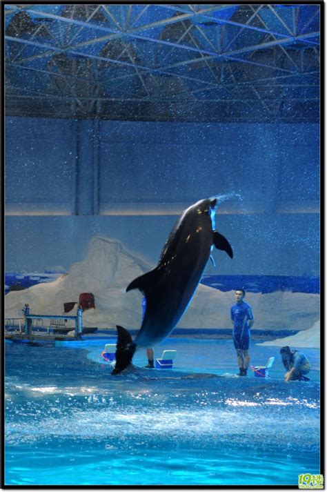 青岛海洋世界-推荐一个好地方350字（共计9则）