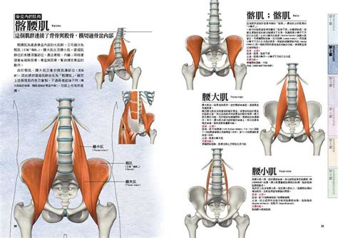 女生为什么要紧致骨盆