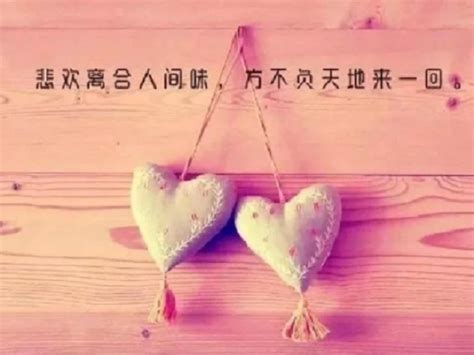桂花的说说朋友圈
