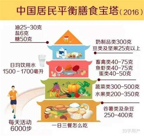 怀孕4到6个月营养膳食