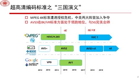 AVS 到底是视频格式还是编码格式啊?