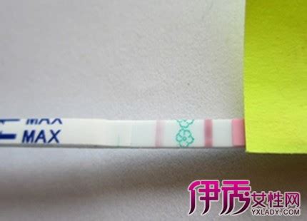 排卵期试纸怎么使用最正确