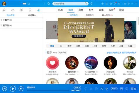 realvidio/realaudio.VPR格式的电影可以用什么播放器播放?谢谢