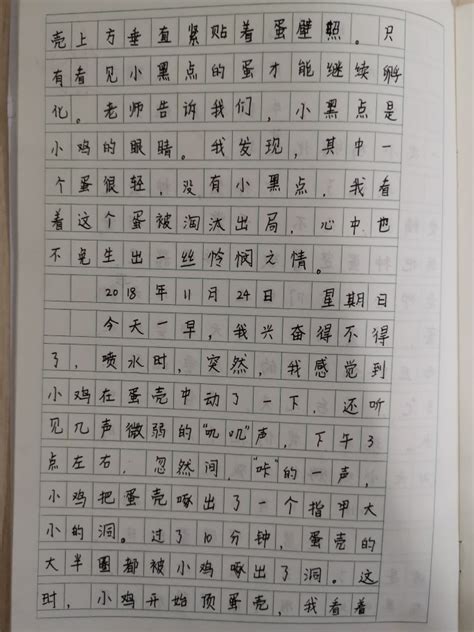 气球增肥记_记一次比赛作文300字(经典9则)