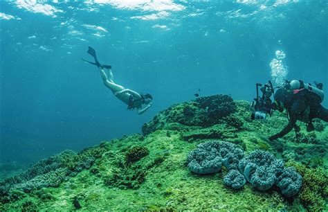 打卡海南潜水胜地：潜到海底，做一条自在的鱼