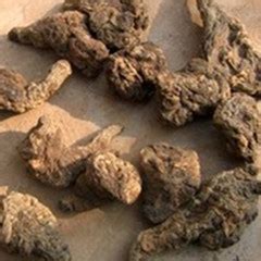 孕妇慎用的中药
