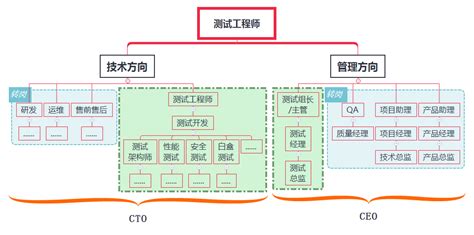 软件技术主要是干什么的