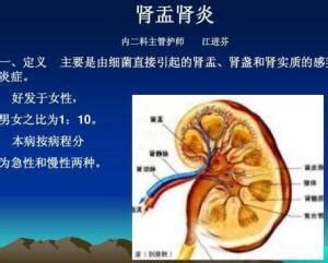 四维双侧肾盂分离正常吗