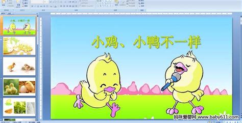 幼儿园小班教案《小鸡找妈妈》