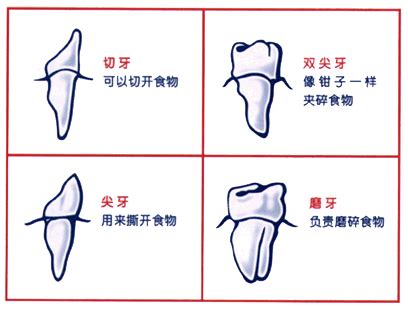 怀孕应注意的问题