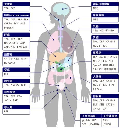 40岁身体衰退的征兆