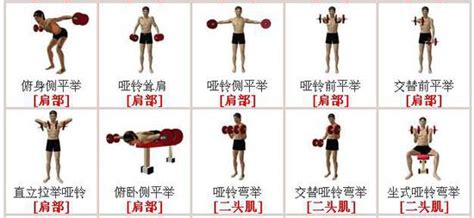 求家庭杠鈴啞鈴鍛煉方法