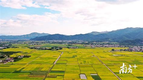 蕉岭在哪里啊