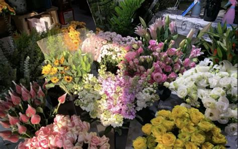 西安哪里有花卉批发市场?比较全面的