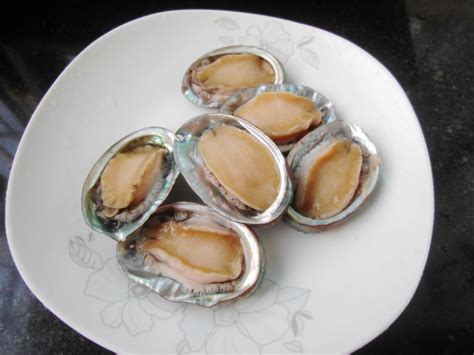鲍鱼小孩吃的做法
