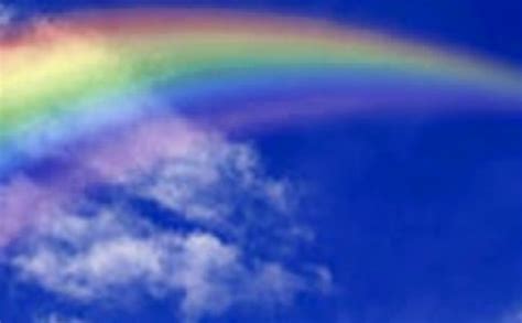 夏雨-写景作文550字（精选5则）