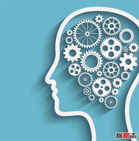 记忆发展的前提是什么