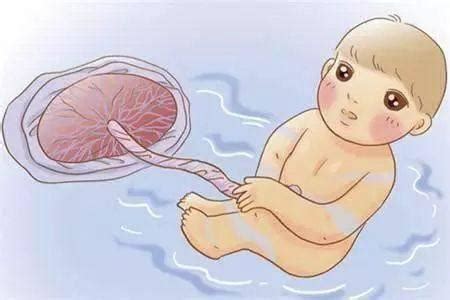 你知道胎宝宝在妈妈肚子里都在做什么吗?看完萌化了