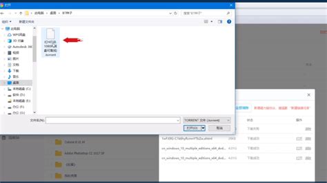啥是TORRENT