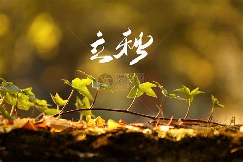 适合立秋的精辟说说