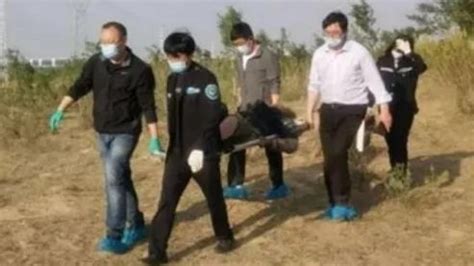 超级奶爸全文免费阅读