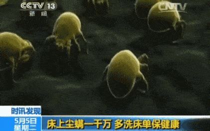 紫外線燈能否殺死室內(nèi)的螨蟲?