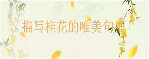 陶醉大自然的诗句