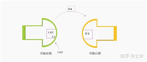 女性功能障碍怎么治