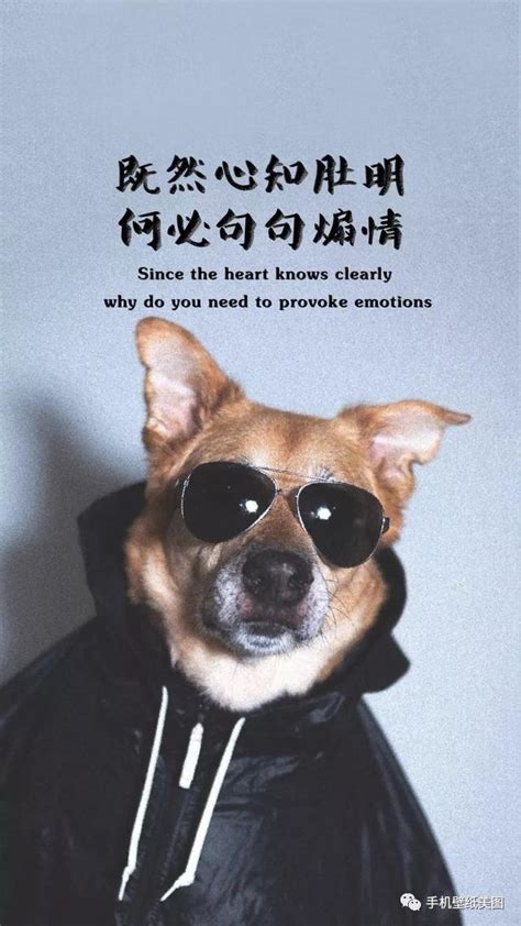 2022最火最霸气的抖音说说