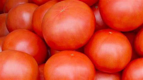 西红柿的作用与功效