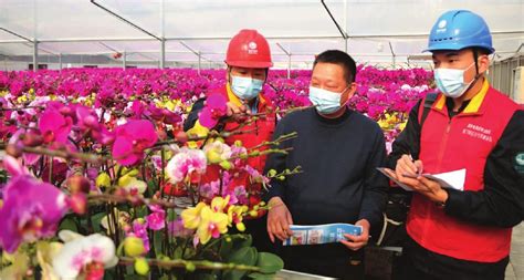 海沧哪里有卖吊兰等花草