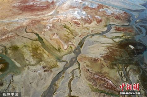 新疆博州艾比湖南岸色彩缤纷 景色别有一番情调