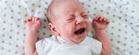 引起新生宝宝吐奶的原因有哪些