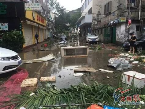 台风过后_写景的作文450字(集锦8篇)