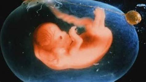 孕期同房胎儿在里面有什么感觉吗