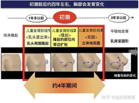 分娩的过程的三个阶段