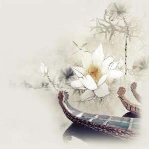 潇洒的古风句子