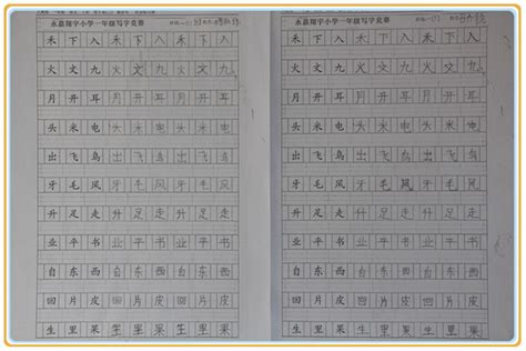一年级看图写字题