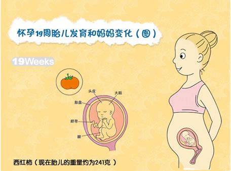 孕期饮食注意事项有哪些