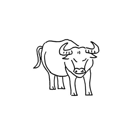 怎么画牛最简单
