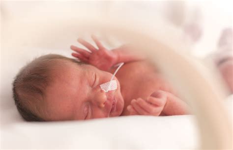 早产儿与足月儿视力发育