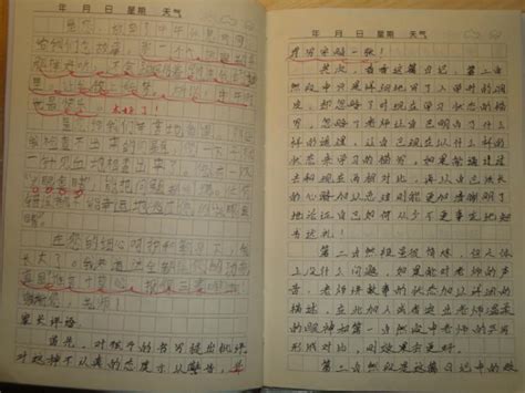 妈妈我想对您说-小学生记叙作文300字（集锦7则）