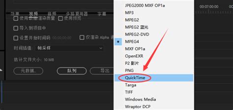 mov的视频格式,为什么我的电脑打不开呢?请问要怎么才能打开?