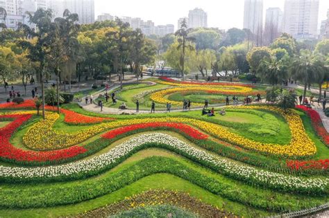 寒假周记：马鞍池公园[集锦5则]