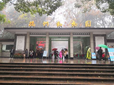 游杭州野生动物园_二年级写景作文500字【汇总7则】