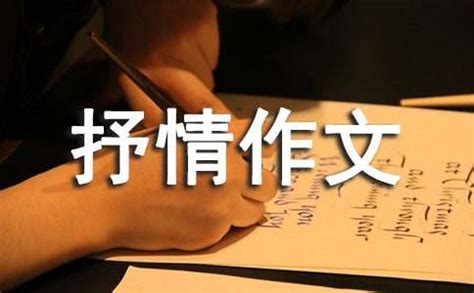 爸爸的手-抒情作文500字[共9篇]