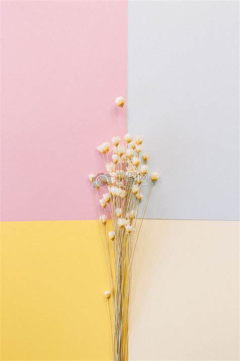 小清新文艺说说